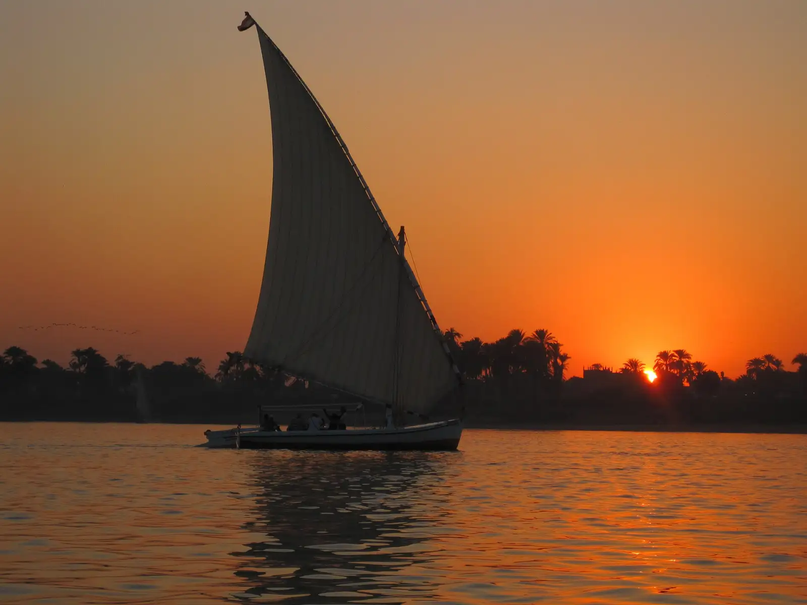 A felucca on the Nile at sunset