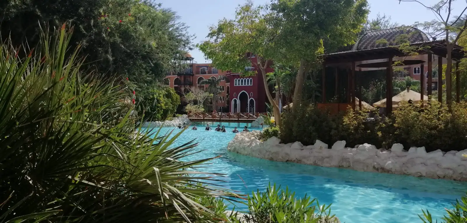 Pool and palm trees at a resort in Hurghada